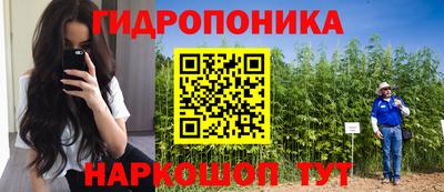 бошки Моздок