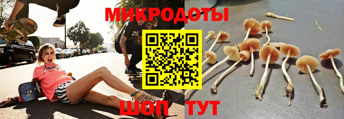 Петропавловск-Камчатский  Псилоцибиновые грибы GOLDEN TEACHER  Вход с VPN 