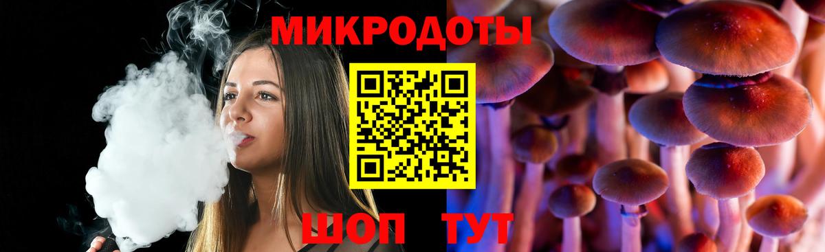 Псилоцибиновые грибы Cubensis Петропавловск-Камчатский